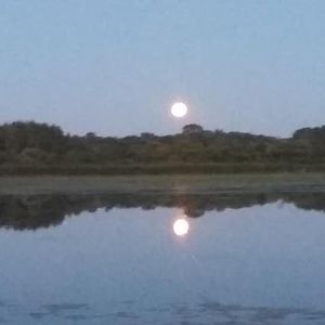 Meet your Posher, Robin